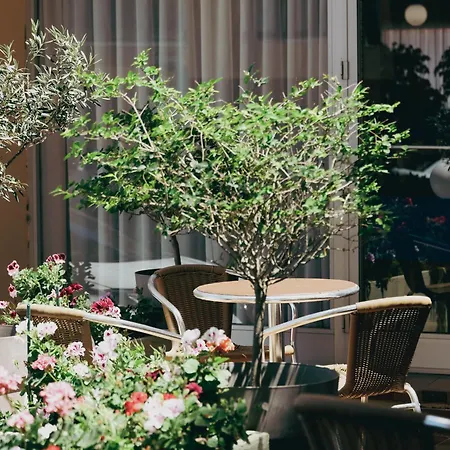 Du Port Hotel 3*